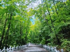 -九鼎铁刹山风景区