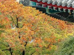-香山公园