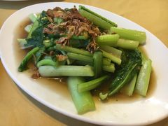 清炒菜心-真浪花园海鲜餐馆