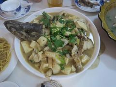 豆腐狗鱼-煲来饱去冷水鱼
