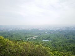 -紫金山山顶公园