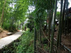 -塔川景区