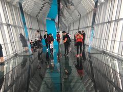 -上海环球金融中心云端足球盛典