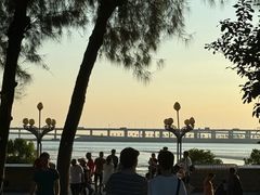 -宝安西湾红树林湿地公园