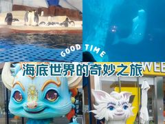 -海合安武汉极地海洋公园