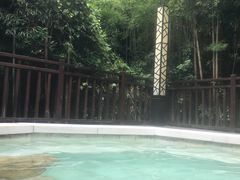 -天目湖涵田半山温泉