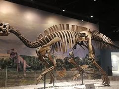 -辽宁古生物博物馆