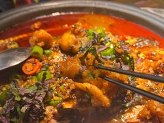 -探鱼·鲜青椒爽麻烤鱼(中山大信新都汇店)