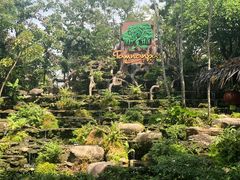 -绿光森林餐厅