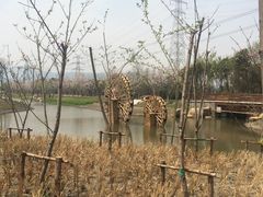 -长田漾湿地公园