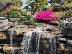 -东莞植物园