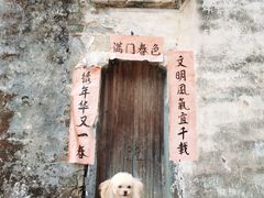 -石台牯牛降景区