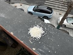 -上海白云观
