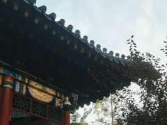 -迎泽公园