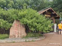 -金鸡湖桃花岛