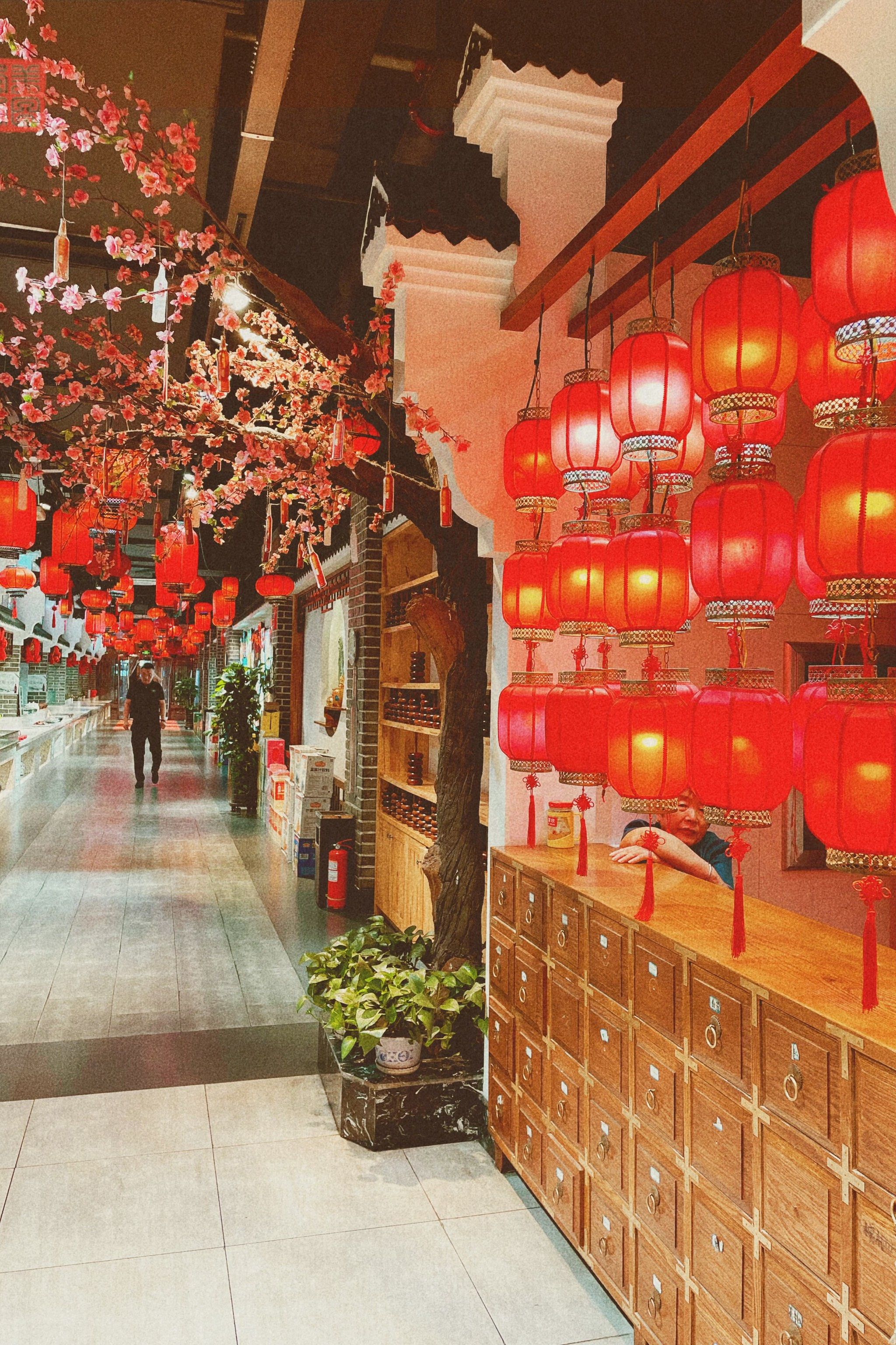 饭店里的小江南
