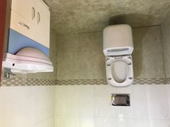 -金山农民画村-枫泾波兰倒置屋