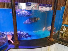 -开海·红岛海鲜虾水饺(石老人店)
