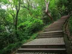 -苏州上方山国家森林公园