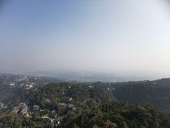 -大金鹰园