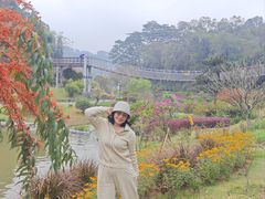-东莞植物园