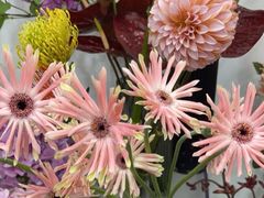 -Flower in(密渡桥店)