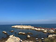 -养马岛旅游度假区