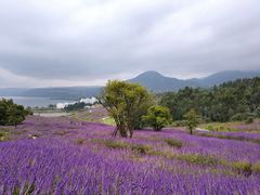 -阳宗海湿地