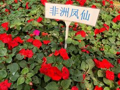-广东茂名森林公园
