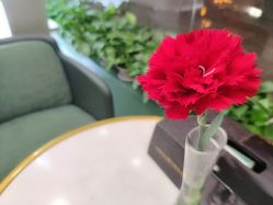 -银星女王公园发型艺术沙龙