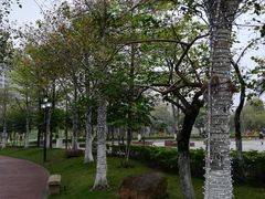 -映月湖公园