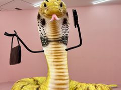 -今日美术馆