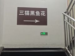 -三猫黑鱼花(南大店)