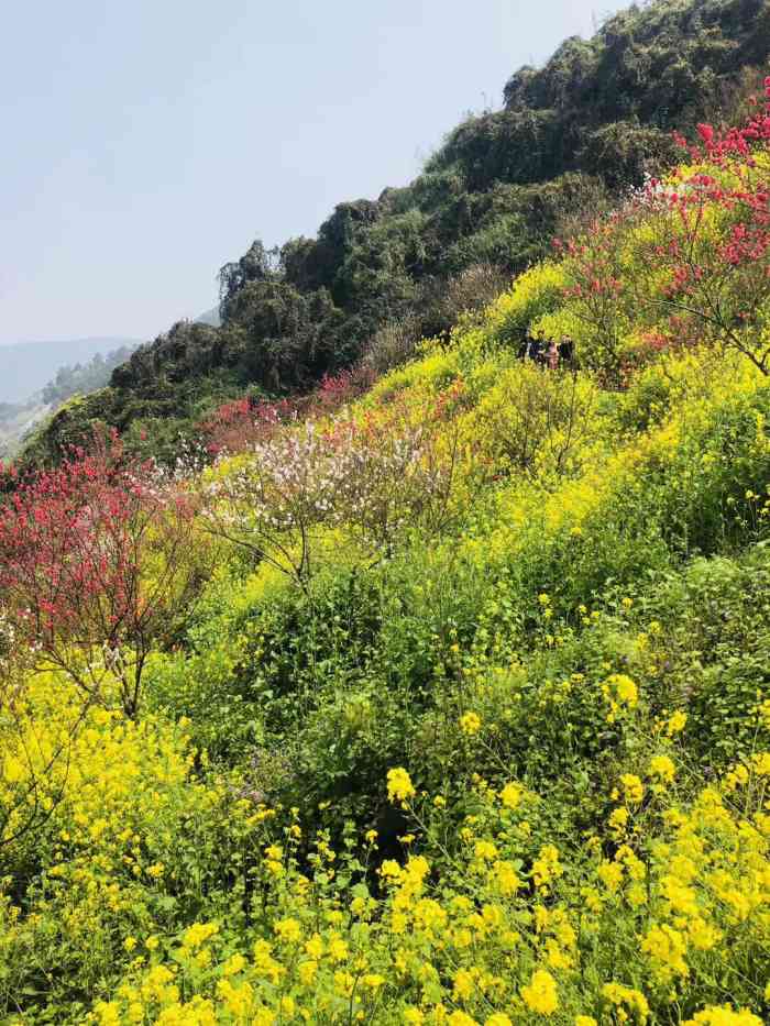 南山桃花园售票处