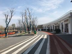 -上海长兴岛郊野公园