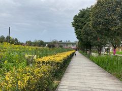-洪湖家庭农场·团建·露营·会议