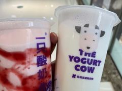 -一只酸奶牛(双流万达广场店)