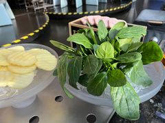 -王家渡火锅店(棕榈泉店)