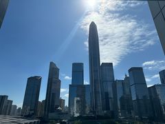 -深圳星河丽思卡尔顿酒店