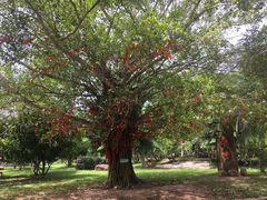 景点-红色娘子军纪念园