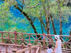 -叠溪松坪沟景区