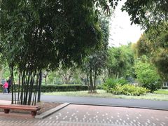 -晓港公园
