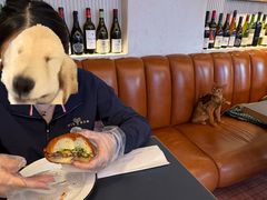 -尚牛社会 Beef & Liberty(金桥EKA天物店)