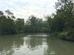 -溱湖国家湿地公园