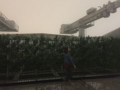 -WFC会仙楼观景台
