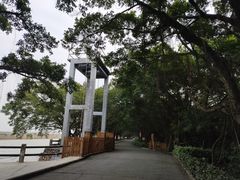 -大湾区中央湿地公园