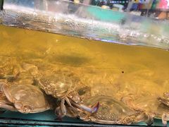 -拉完海鲜大排档(温岭店)