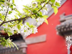 -故宫博物院(故宫)