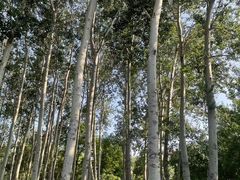 -仁和公园(顺义区)