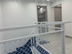 -一道造型